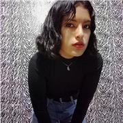 Profesor particular gratis